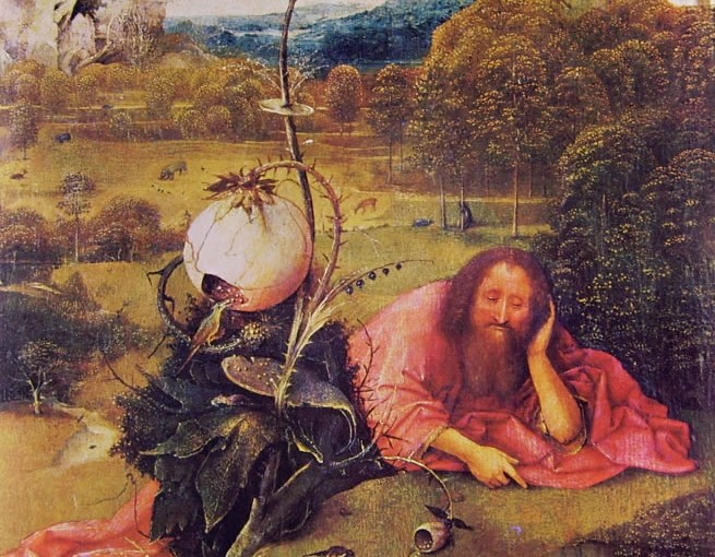 San Giovanni Battista in meditazione di Hieronymus Bosch